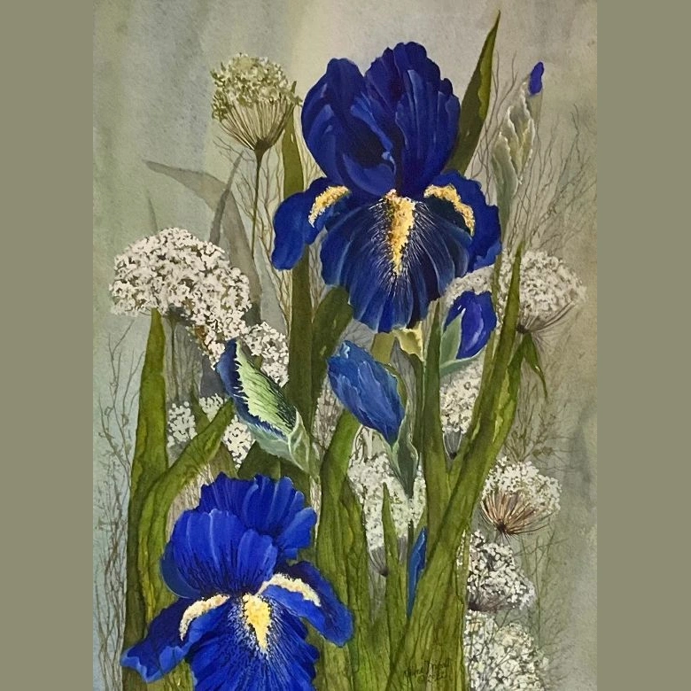 Meldra Driscoll