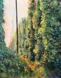 Darcie Roberts - Hop Fest Soft Pastel