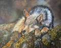 Leslie Yamada - Lone Wolf at Low Tide
