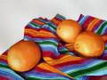 Cheryl Ann Bush - Still Life with Oranges